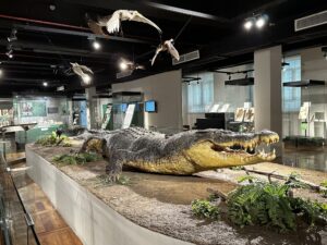 National Museum of Natural History Philippines