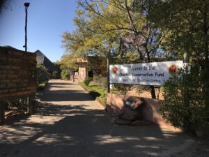 Cheetah Conservation Fund 1