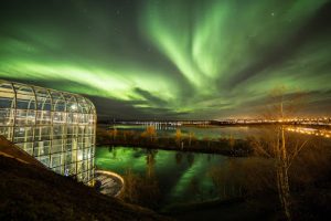Arktikum 1