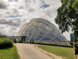 Botanical Garden and the Greenhouses 2