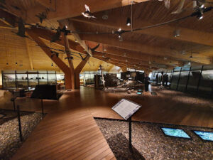 Svalbard Museum 3
