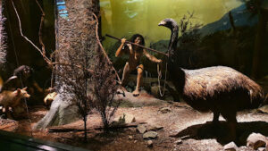 Canterbury Museum Pop-up 4